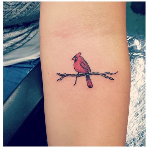 Tiny little cardinal on a branch! #cardinal #cardinaltattoo #birdsofinstagram  #birdlover #wildlife #tattoo #tattoos #tattooidea #ink… Iowa Tattoo, Cardinal Tattoo Ideas, Cardinal Bird Tattoos, Red Cardinal Tattoos, Small Cardinal Tattoo, Red Bird Tattoos, Cardinal Tattoo, Cardinal Tattoos, Remembrance Tattoos