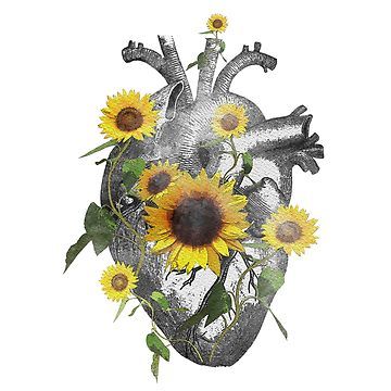 Sunflowers Watercolor, Blooming Heart, Heart Watercolor, Anatomical Heart Tattoo, Heart Ideas, Logo Youtube, Tattoos Mandala, Sunflower Hearts, Sunflower Tattoos