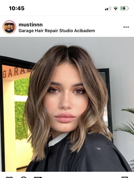 Just Above Shoulder Length Hair Haircuts, Blonde To Natural Color Before And After, Short Hair Brunette Balayage, Brown Hair Balyage, Brunette Hair Pale Skin, Short Light Brown Hair, Short Hair Brown, Short Brunette Hair, Hair Pale Skin