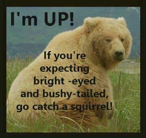 I'M UP! If you're expecting bright-eyed and bushy-tailed,  go catch a Squirrel!  :) Early Morning Humor, Monday Humor Quotes, Property Brothers, Monday Quotes, Morning Humor, A Quote, A Sign, Bones Funny, Make Me Smile