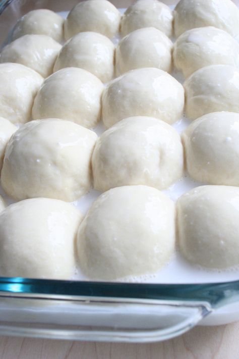 Pani Popo Recipe, Tongan Food, Pani Popo, Thanksgiving Thoughts, Samoan Food, Hawaiian Roll, Fluffy Dinner Rolls, Homemade Buns, Polynesian Food