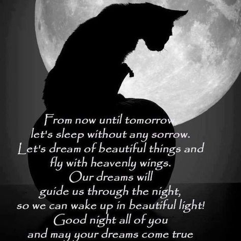 Funny Good Night Images, Good Night All, Wiccan Crafts, Good Night Prayer, My Wish For You, Good Night Greetings, White Magic, Good Night Messages, Halloween Quotes