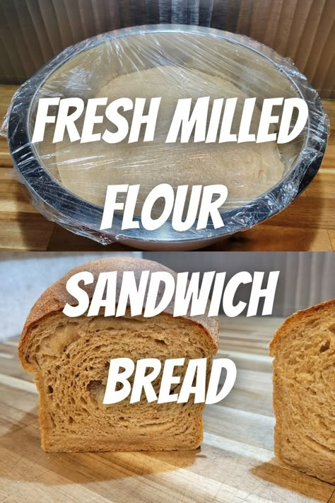 Top shows a metal bowl full of risen dough ready to be punched down and shaped. the bottom shows a baked whole wheat sandwich bread sliced in half showing the texture of the soft crumb interior. Wheat Flour Bread Recipe, Wheat Berry Bread Recipe, Vegan Sandwich Bread, Wheat Sandwich Bread Recipe, Sandwhich Bread, White Wheat Bread, Wheat Berry Recipes, Milled Flour Recipes, Wheat Flour Recipes