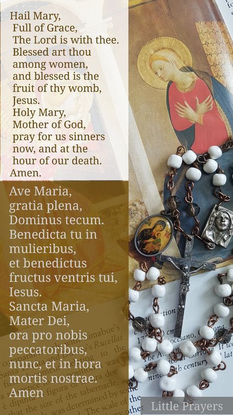 Hail Mary in English and Latin. Let us pray... Hail Mary Prayer Catholic, Hail Mary In Latin, Rosary In Latin, Catholic Prayers Daily, Hail Mary Prayer, Catholic Beliefs, Blessed Mary, Mary Catholic, Bible Study Plans