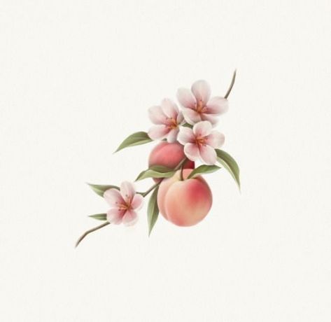 Peach Blossoms Tattoo, Peach Tree Flower Tattoo, Peach Fruit Flower, Peach Tree Drawing Simple, Floral Fruit Tattoo, Peaches Tattoo Ideas, Peach Tree Tattoo Branches, Peach Branch Tattoo, Peach Tattoo Design