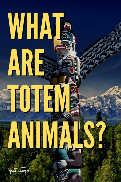 What Are Totem Animals? | YourTango #totem #animal #spirituality Native American Totem Animals, Totem Animals Meaning, Modern Totem Pole, Animal Totem Tattoo, Totem Pole Tattoo, Totem Animals Art, Shaman Journey, Crow Totem, Animal Totem Spirit Guides