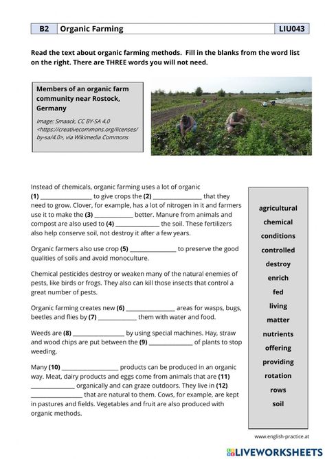 Agriculture Worksheets, Nature Vocabulary, Farm Vocabulary, Garden Planning Layout, Crop Farming, Esl Vocabulary, English For Beginners, The Worksheet, Agricultural Science