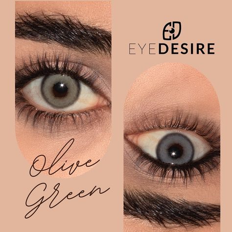 Transform your look with stunning Olive Green contact lenses! 🌿 Enjoy a 25% Early Bird discount now and embrace a fresh, natural vibe that will make your eyes pop. Elevate your style effortlessly with these vibrant and mesmerizing lenses. Don’t miss out on this limited-time offer to enhance your beauty with a touch of green magic! DM us now to order . . . . . . #coloredlenseslebanon #coloredlenses #contactlenseslebanon #eyedesirelenses Green Eye Lens, Green Eye Contacts On Brown Eyes, Olive Green Contact Lenses, Light Green Contact Lenses, Green Cat Eye Contacts, Green Contacts Lenses, Green Contacts, Green Magic, Contact Lenses