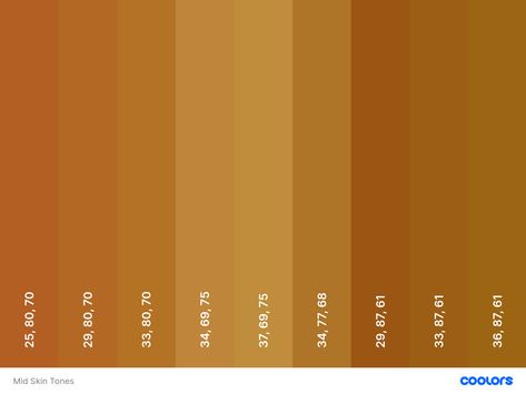 Mid Skin Tone Palette to Use In Your Art (HSB) Brown Skin Tone Color Palette, Umber Skin Tone, Skin Tone Palette, Orange Skin, Brown Orange, Skin Tone, Skin Tones, Skin, Orange