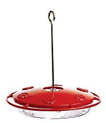 Hummingbird Feeder Attracts Flying Jewels Red Hummingbird, Hummingbird Nectar, Glass Hummingbird Feeders, Bees And Wasps, Hummingbird Feeder, Tiny Bird, Humming Bird Feeders, How To Attract Hummingbirds, Outdoor Decor Backyard