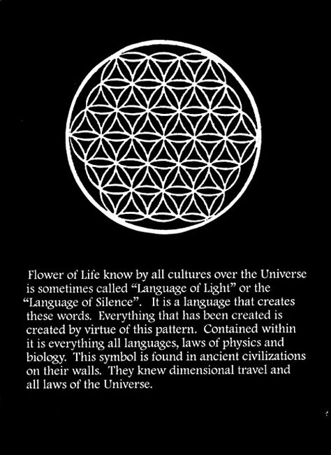 Each one of us has all the wisdom and knowledge we ever need right within us. It is available to us through our intuitive mind, which is our connection with universal intelligence. Flower Of Life Meaning, Universal Intelligence, Sacred Geometry Meanings, The Flower Of Life, Sacred Geometry Symbols, Sacred Geometry Art, Spirit Science, Symbols And Meanings, Sacred Symbols