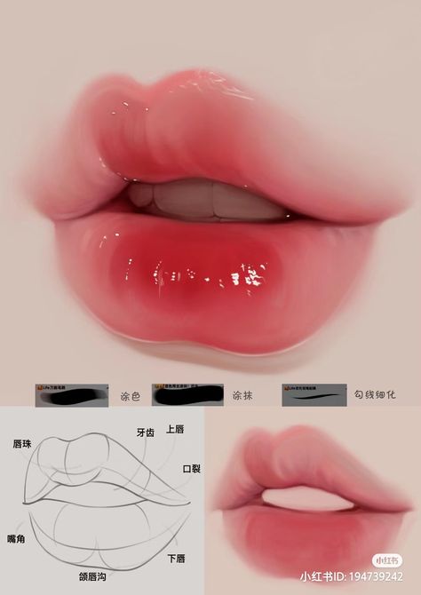 Digital Art Tutorial Beginner, الفن الرقمي, Lip Drawing, Mouth Drawing, Digital Art Beginner, Lips Drawing, Art Tools Drawing, Sketches Tutorial, Digital Painting Tutorials