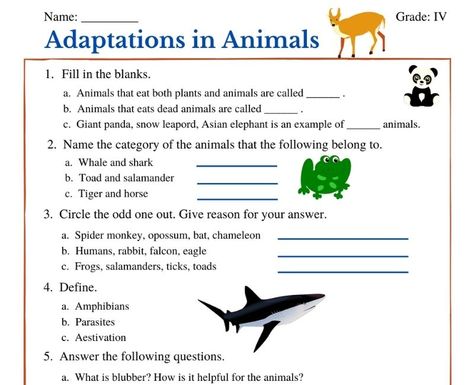 Adaptation In Animals Worksheet, Animal Adaptations Worksheet, Adaptation In Animals, Adaptations Science, Animals Worksheet, Plant Adaptations, Color Songs, Animal Adaptations, Animal Worksheets