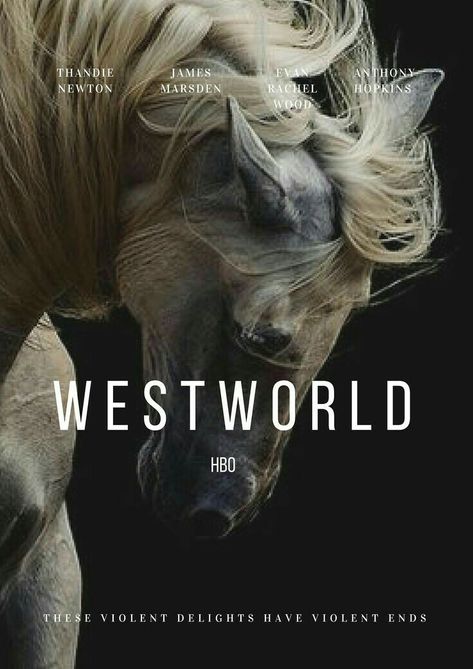 Westworld Aesthetic, Westworld Tv Series, Westworld Hbo, Hbo Tv Shows, Denis Villeneuve, David Fincher, Parc D'attraction, Film School, Hbo Series