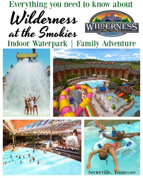 Wilderness at the Smokies | Indoor Waterpark Family Adventure ~ DivineLifestyle.com ~ #ad #WildernessAtTheSmokies   #ItsAboutThatTime #LaughPlayStay #NeverMissAMoment Wilderness At The Smokies, Mountains Tennessee, Indoor Water Park, Tennessee Travel, Family Friendly Resorts, Active Family, Indoor Waterpark, Family Resorts, Food And Beverage