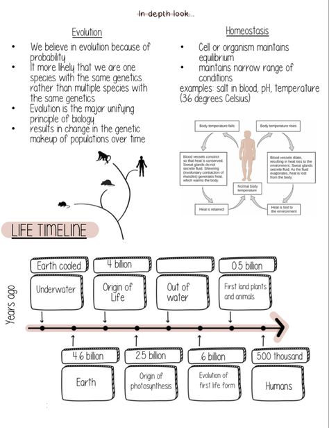 A study guide showing key points for biology chapter 1 Evolution Notes, Notes For Biology, Earth Aesthetic, Notebook Notes, Cute Stationary School Supplies, Final Exam, Sweat Gland, Guided Notes, Stationary School