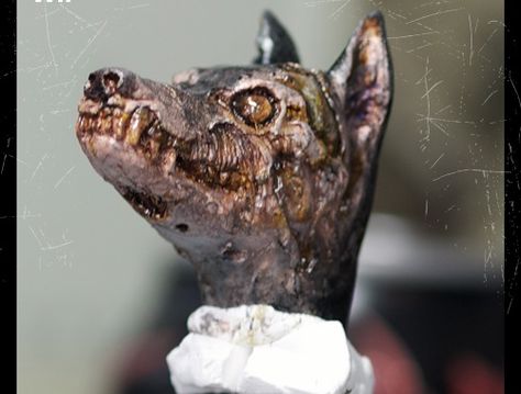 Realistic Zombie MinPin! Zombie Animals, Zombie Dog, Evil Games, Resident Evil Game, Min Pin, Resident Evil, Zombie, Art Inspiration, Dogs