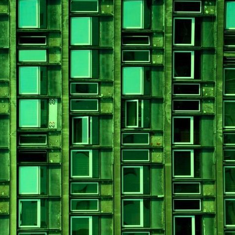 comrade in green by peachm Green Monochrome, Simple Green, Brutalism, World Of Color, Green Aesthetic, Color Of Life, Go Green, Shades Of Green, Color Inspiration