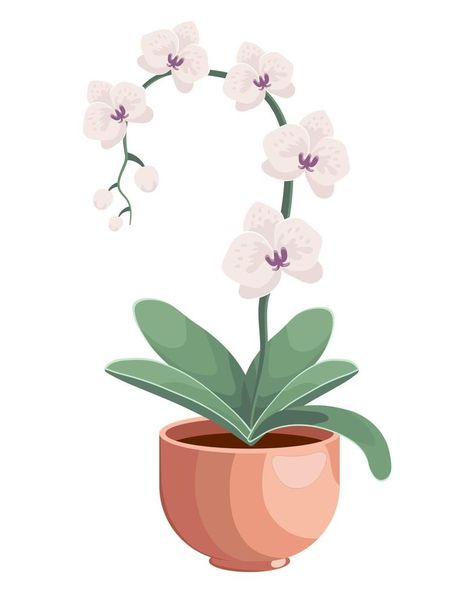 Illustration drawn delicate white orchid flowers in a pot. Detailed illustration, clip art, icon Orchid Flower Illustration, Flower Pot Illustration, Diy Valentines Gifts For Him, Flowers In A Pot, Orchid Illustration, Illustration Clip Art, Art Clip, Vector Banner, Detailed Illustration