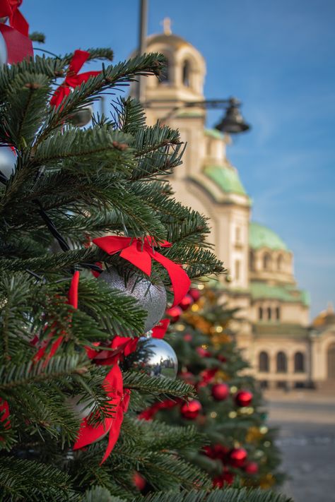 #photography #chritmas #sofia #bulgaria #beginnerphotography #christmastree Hello Christmas, Hello December, Sofia Bulgaria, Photography For Beginners, Christmas Spirit, Bulgaria, Sofia, Christmas Tree, Christmas