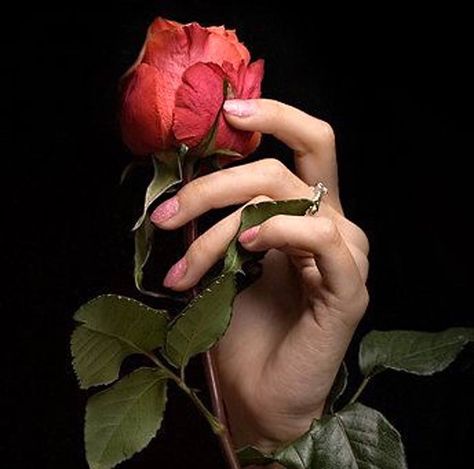 Beautiful Hand Holding Rose, Rose Meaning, Hands Holding Flowers, Rose Pic, Art Girl Aesthetic, Rose Drawing Tattoo, Eyes Artwork, Hand Flowers, Rosé Aesthetic