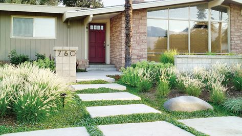 Favorite Front Yard Desgn Ideas - Sunset Magazine Lawn Free Yard, Front Yard Makeover, Yard Path, Yard Makeover, Landscaping Around Trees, Large Backyard Landscaping, Landscape Borders, Walkway Landscaping, Landscape Stone