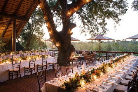 A Safari Wedding in the Heart of a National Park in South Africa | Vogue Wedding Venues South Africa, South Africa Destinations, South Africa Wedding, Bush Wedding, Safari Wedding, Africa Wedding, South African Weddings, Africa Destinations, Summer Dresses For Wedding Guest