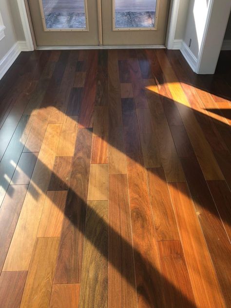 Brazilian Walnut Flooring, it is naturally resistant to insects, rot and mold, and has the same fire rating as concrete Brazilian Walnut Floors, Flooring Ideas Vinyl, Walnut Flooring, Walnut Wood Floors, Vinyl Wood Planks, Ipe Wood Deck, Walnut Hardwood Flooring, Inexpensive Flooring, Transition Flooring