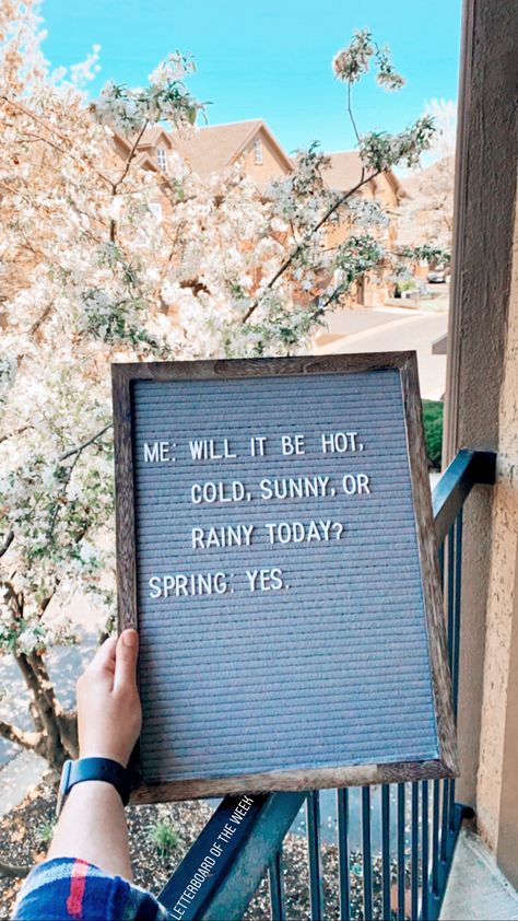 Letter Board Engagement, Spring Letterboard Quotes, Spring Letterboard, Quotes Letter Board, Spring Letter Board Quotes, Spring Letter Board, Dog Birthday Quotes, Spring Inspirational Quotes, Spring Jokes