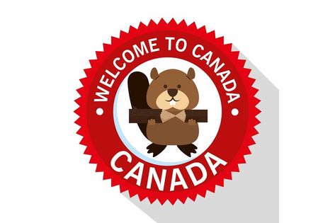 Canada Stickers, Welcome To Canada, Beaver Animal, Weekend Blessings, Canada Day Crafts, Canadian Animals, Happy Canada Day, Pets Diy, Dog Shampoo