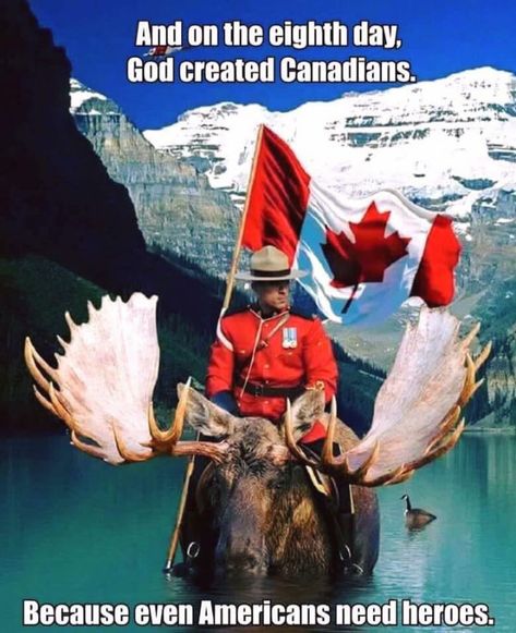 Rcmp Uniform, Canadian Memes, Canadian Symbols, Canadian Moose, Funny Canada, Canada Memes, Canadian People, Canadian Humor, Meanwhile In Canada