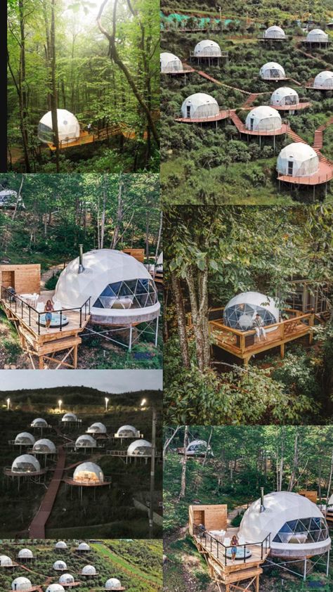 Glamping, Tree House