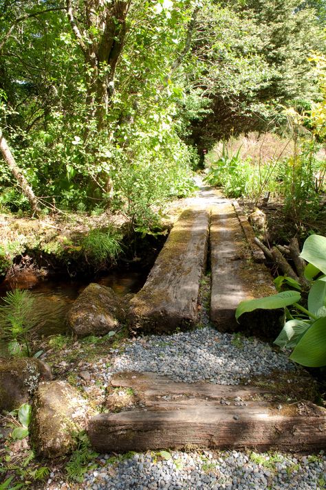 Bridge Over Stream, Plank Bridge, Shade Garden Design, Small Bridge, Wooden Bridge, Forest Garden, Fellowship Of The Ring, Edible Garden, Shade Garden