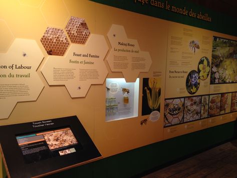 Food Exhibition, School Exhibition, Hexagon Wall, Museum Studies, Museum Exhibition Design, History Wall, Signage Display, Nature Museum, Outdoor Signage