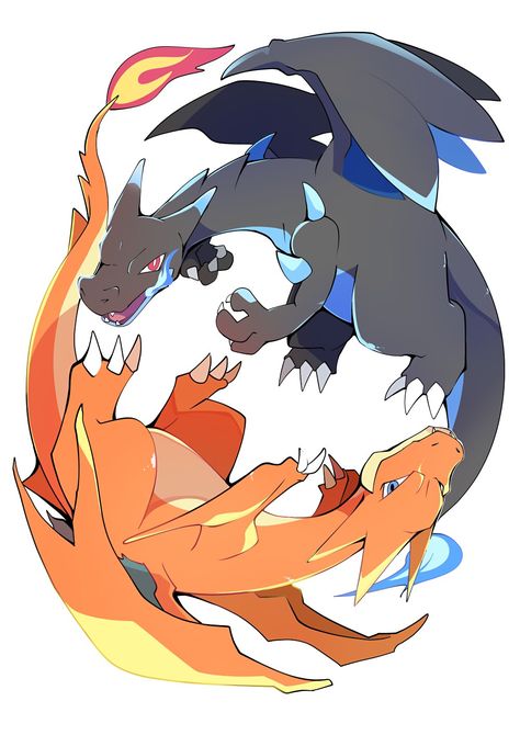 Charizard Art, Charmander Charmeleon Charizard, Digimon Cosplay, Mega Charizard, Pokemon Painting, Pokemon Dragon, Ragnarok Anime, Mega Pokemon, Oc Pokemon