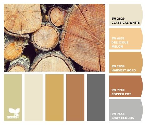 Paint colors from ColorSnap by Sherwin-Williams Yellow Sherwin Williams, Grey Clouds, Highland Homes, Copper Pots, Fresh Start, Copper Color, Wonderful Things, Sherwin Williams, Blue Gold