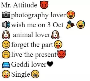 Instagram Bio for Animal lover Bio Mom, Dogs Lover, Dance Lover, Single And Happy, All Animals, Waiting For Someone, I Love My Friends, Single Life, Best Fan