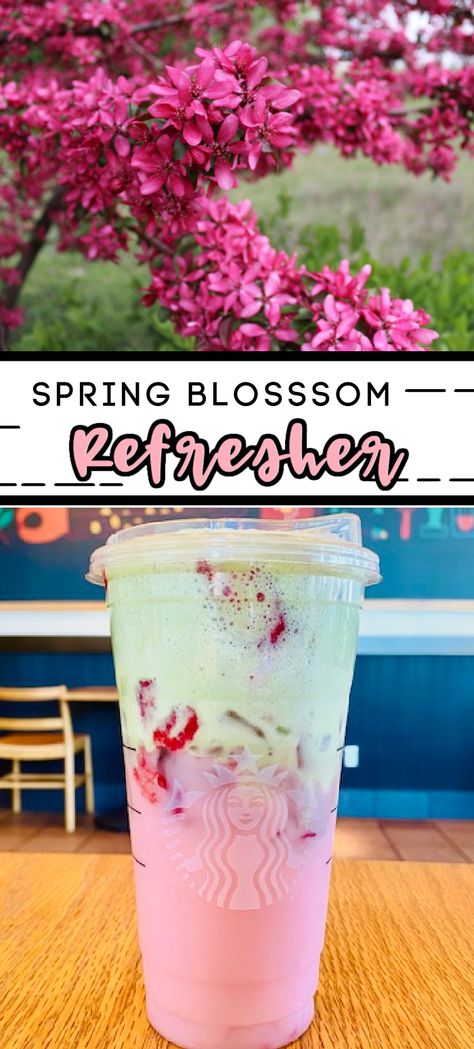 Cherry Blossom Starbucks Drink, Starbucks Secret Menu Drinks Spring, Spring Coffee Recipes, Starbucks Drinks Spring, Starbucks Spring Drinks, Spring Drinks Coffee, Spring Latte Recipes, Starbucks Refreshers Recipe, Dunkin Recipes