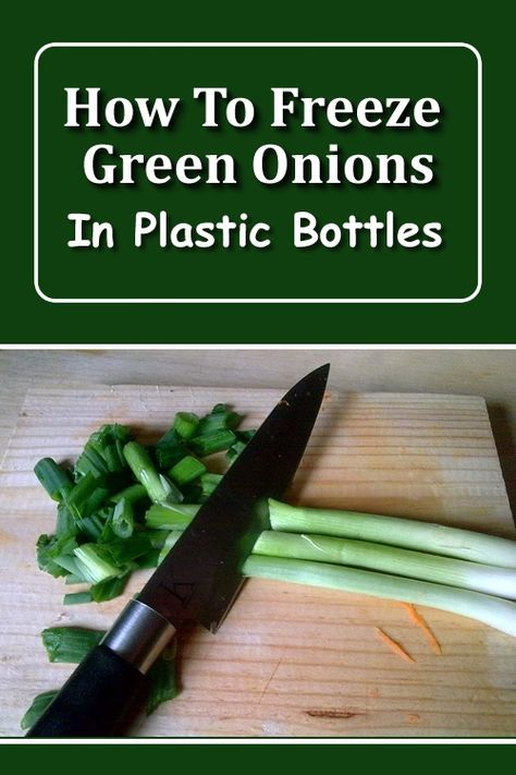 Freeze Green Onions, Freeze Guacamole, Freeze Milk, Frozen Guacamole, Homestead Lifestyle, Preserving Recipes, Small Plastic Bottles, Raising Farm Animals, Empty Plastic Bottles