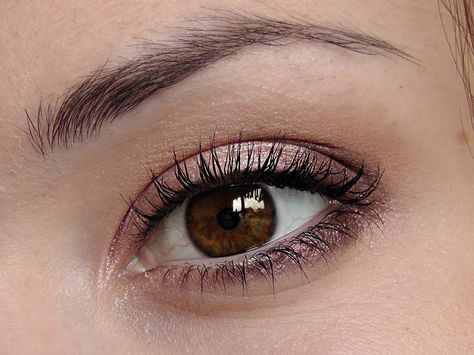 Brown Eyeshadow Tutorial, Brown Eye Makeup Tutorial, Brown Eyes Aesthetic, Brown Eyes Pop, Cute Eyeshadow Looks, Brown Eye, Makeup Tutorial Video, Brown Eyed Girls, Brown Eyeshadow