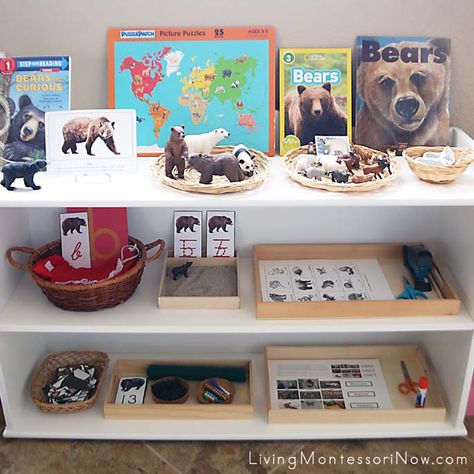 Bee Inquiry, Montessori Shelves, Mini Beasts, Zoo Activities, Montessori Shelf, Montessori Science, Bee Activities, Montessori Lessons, Montessori Room