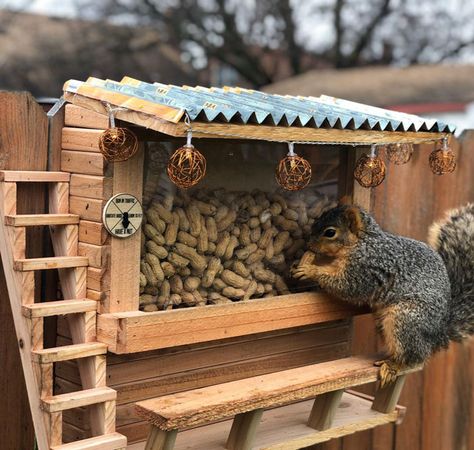 I Made A Squirrel Bar Squirrel Feeder Diy, Build A Picnic Table, Squirrel Home, Squirrel Feeders, Squirrel Feeder, Bird House Feeder, Into The Wood, Diy Bird Feeder, Bird Houses Diy