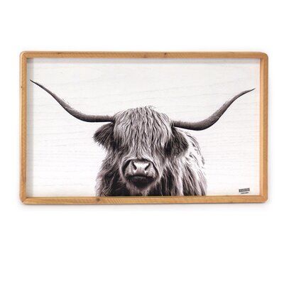 Longhorn Picture Decor, Long Horn Pictures, Longhorn Wall Decor, Western Office Decor, Mdf Wall Decor, Bedroom 2022, Antler Wall, Apartment Checklist, Long Horn