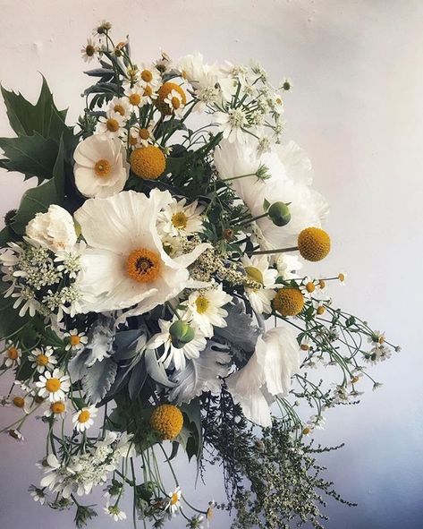 Starring the Matilija Poppy Poppies Flower Bouquet, Matilija Poppy Bouquet, California Poppy Bouquet, White Poppy Bouquet, Poppy Bridal Bouquet, Poppy Wedding Bouquet, Poppy Flower Bouquet, Matilija Poppy, Chrysanthemum Wedding