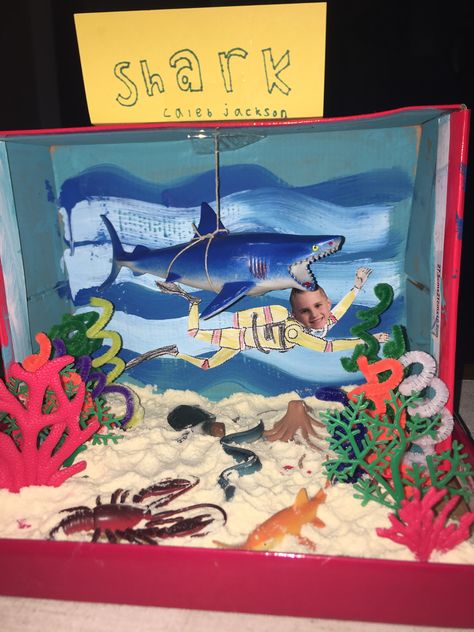 Shark diorama: elementary school project Shark Diarama Ideas Kids, Great White Shark Diorama, Marine Diorama Project, Shark Habitat Diorama, Shark Diorama School Projects, Shark Habitat Project For Kids, Shark Habitat Project, Dolphin Diorama, Ecosystem Diorama