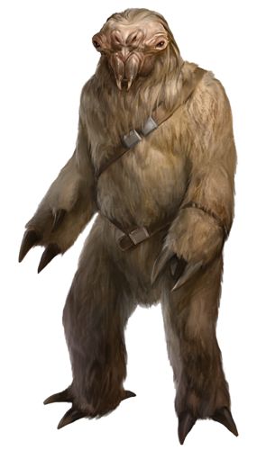 Star Wars Animals, Star Wars Species, Star Wars Helmet, Star Wars Characters Pictures, Star Wars Facts, Star Wars Drawings, Star Wars Outfits, Star Wars Rpg, Alien Races