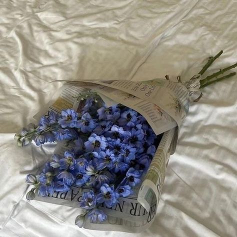 Bianca’s Lifestyle Flower Bookey Aesthetic, White And Blue Flowers Aesthetic, Receiving Flowers Aesthetic, Bianca Aesthetic, Bianca Core, White Flower Asthetics Photos, Bookay Flower Aesthetic, Boquette Flowers, Nothing But Flowers