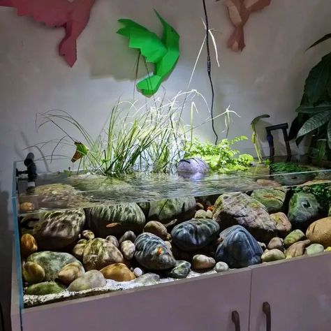 Eclectic Fish Tank, Riverscape Aquarium, Riverbank Aquarium, Fish For Fish Tank, Rock Aquascape, Natural Aquarium, Small Water Gardens, Biotope Aquarium, Fish Tank Themes