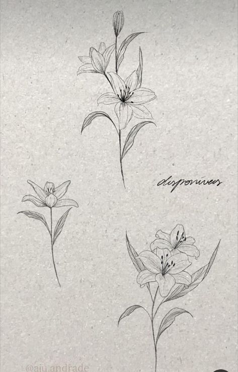 Lilies Flowers Tattoo Designs, Lillies Flowers Tattoo Design, Tattoo Of A Lily Flower, Wild Lily Tattoo, Flower Lilly Tattoo, Fineline Lilly Tattoo, Tattoo Lilies Flower, Lilies Spine Tattoo, Lily Flower Fine Line Tattoo