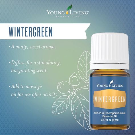 “Wintergreen’s invigorating minty aroma is heaven when diluted with massage oil and applied after a day full of activity. #essentialoils #wintergreen” Wintergreen Essential Oil, Thieves Essential Oil, Yl Oils, Yl Essential Oils, Living Essentials Oils, Living Essentials, Essential Oil Scents, Young Living Oils, Diy Essential Oils